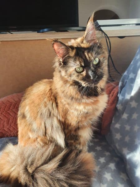 千空未來企業社