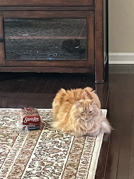 吉米大叔有限公司