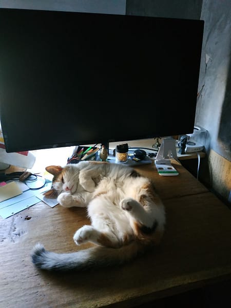 奧斯卡寵物股份有限公司自立分公司