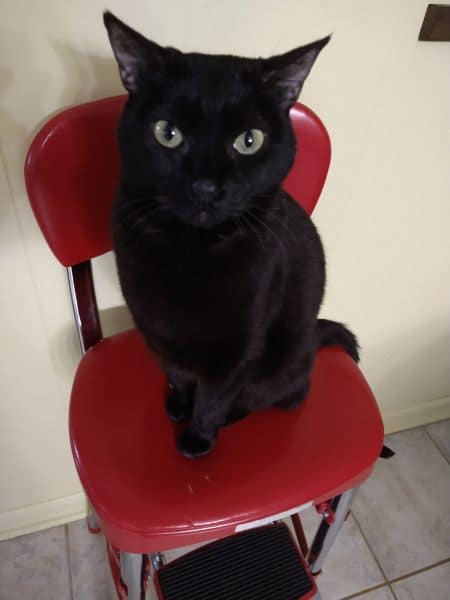 永慶實業股份有限公司五甲分公司