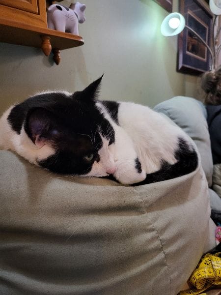 溜溜寵物生活館