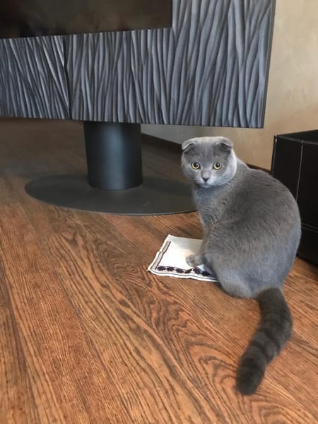 狗狗樂寵物造型沙龍