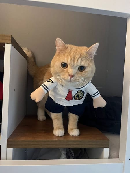 行家寵物美容生活坊