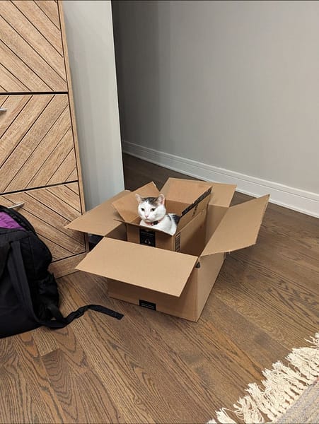 甜寵汪喵生活館