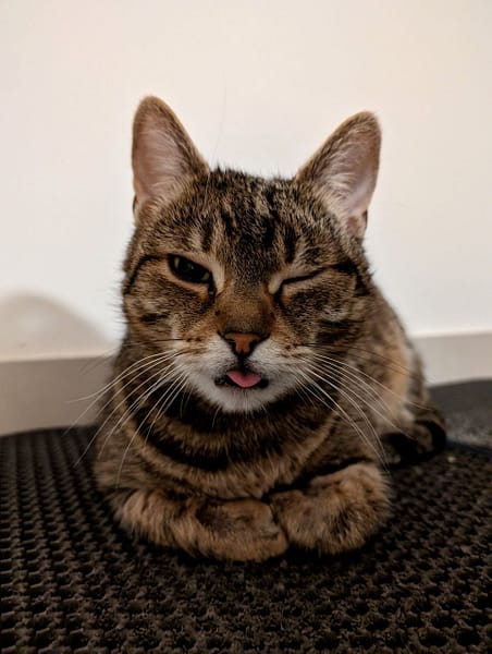 毛毛造造有限公司