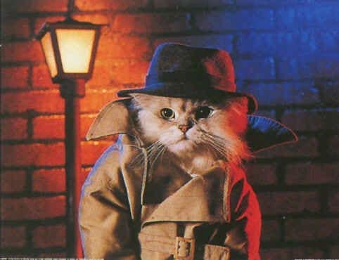 奧斯卡寵物股份有限公司-澎湖分公司