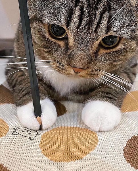 三天二夜有限公司