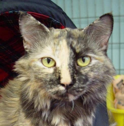 汪堡股份有限公司