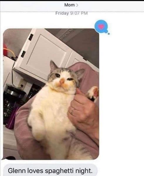 東森寵物雲股份有限公司西屯青海分公司