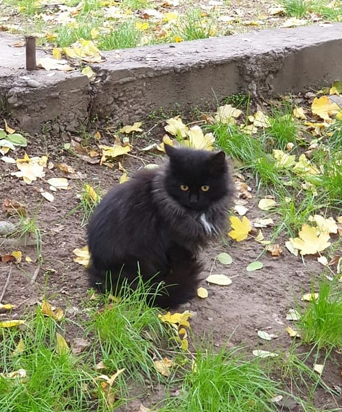 普羅寵物生活館