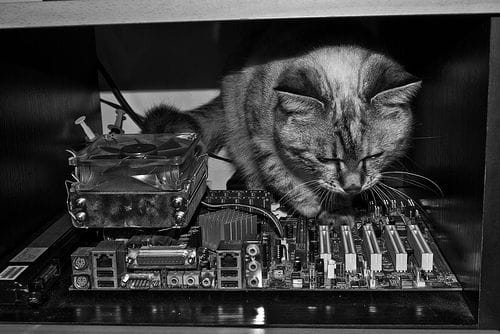 有怪獸企業有限公司