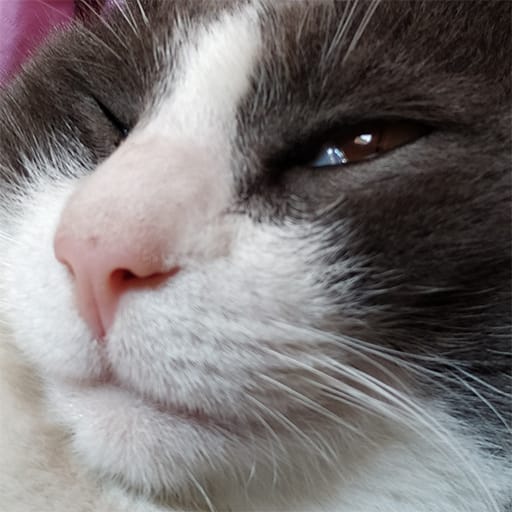 惠發寵物有限公司