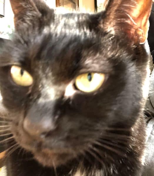 家溱喵喵精品館