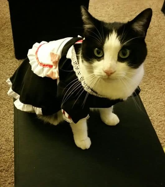 英倫王子悠閒時光工作室