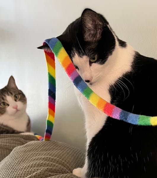 犬聯世界名犬繁育場