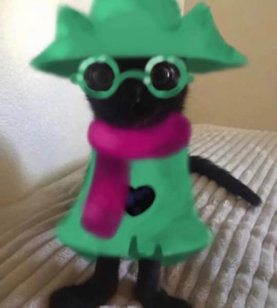 哈囉酷酷寵物美容