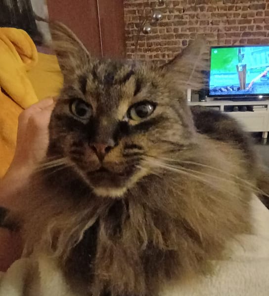 魚中魚樂活有限公司文心分公司