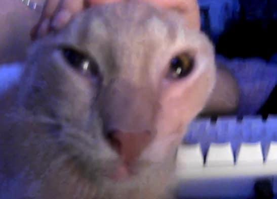 永佳寵物用品有限公司-林口分公司