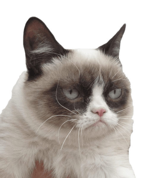 蕙昌寵物企業社