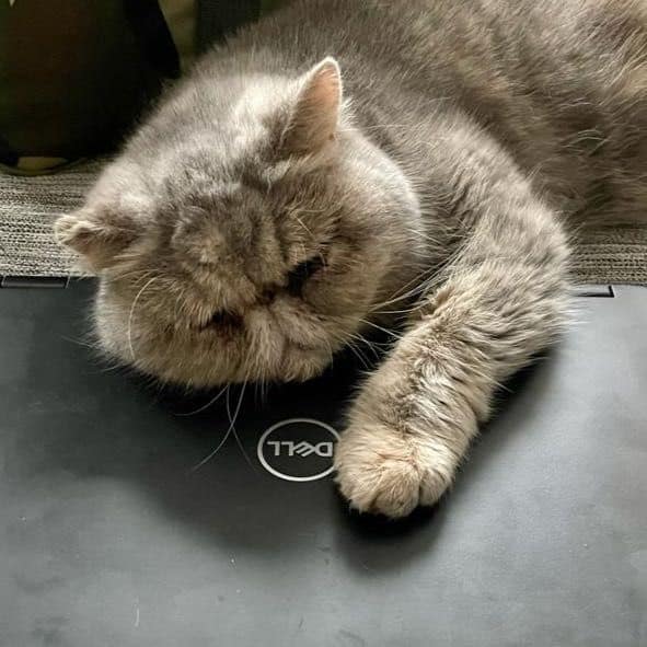 幸福時光寵物生活館