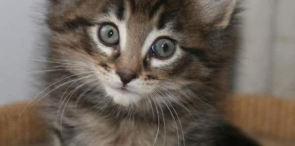 手牽手戶外生活用品有限公司