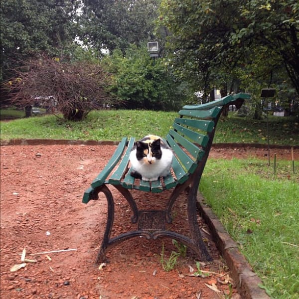 壹貓賞有限公司