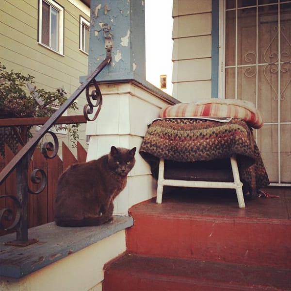 孩要有你寵物沙龍