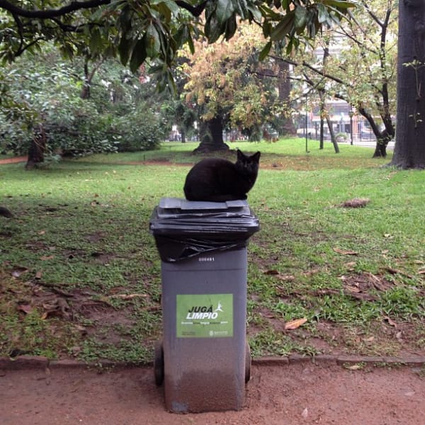小蘋果水族寵物企業社