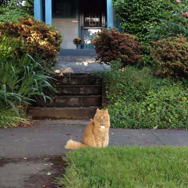 捲捲毛寵物旅館