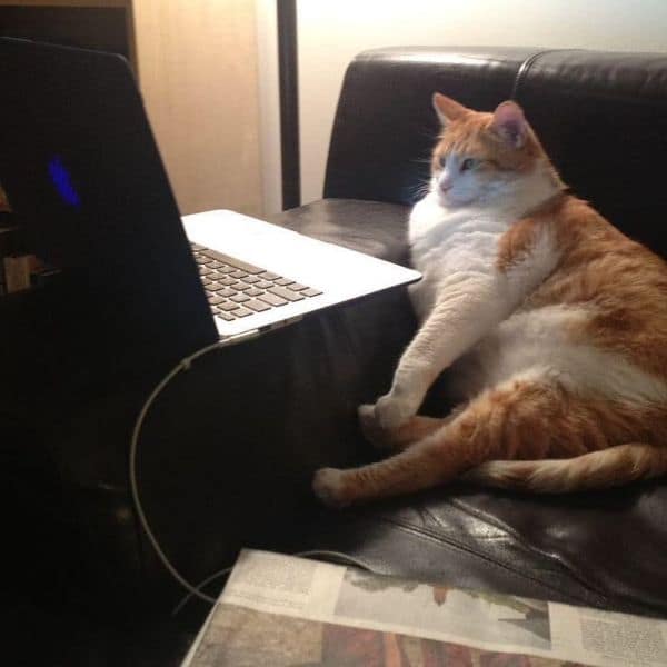 東森寵物雲股份有限公司宜蘭員山分公司