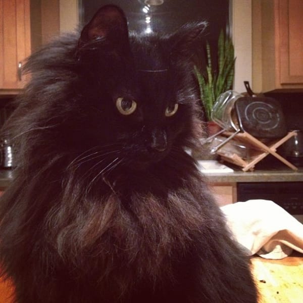 田蓉貿易有限公司