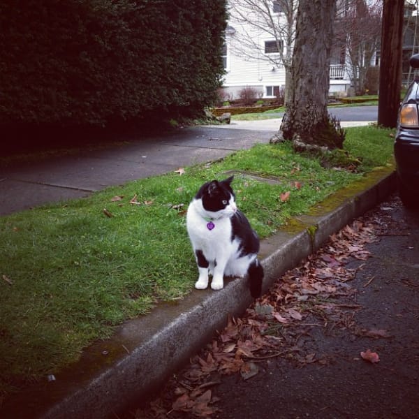 萬達寵物事業股份有限公司台北新生分公司