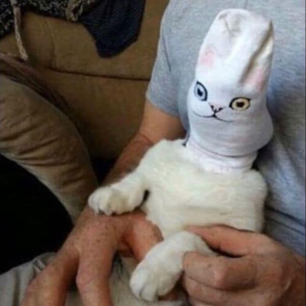 超級霹靂貓貓舍