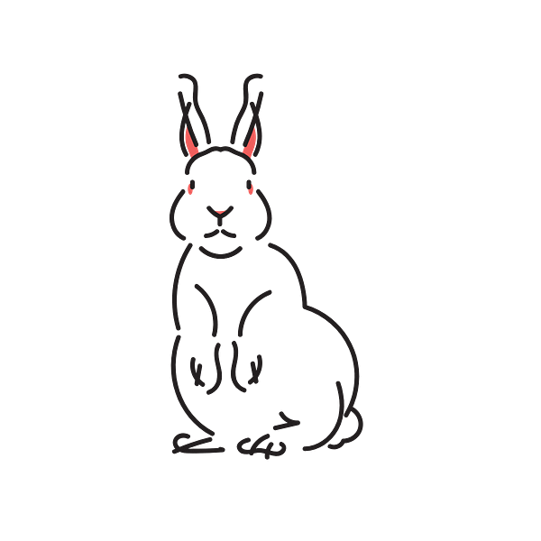 【待認養】混種貓 貓 (未知) - 連江縣流浪犬收容中心