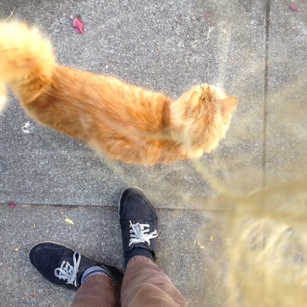 久食貓堡有限公司