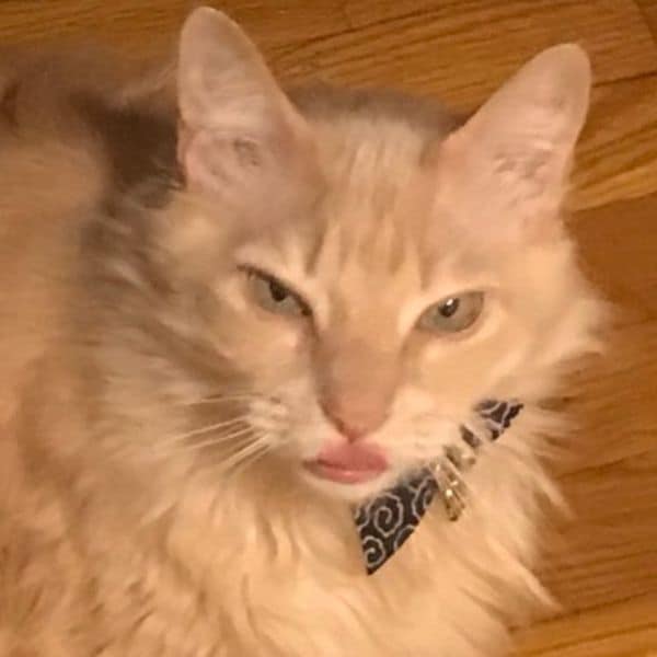 霆驊企業有限公司