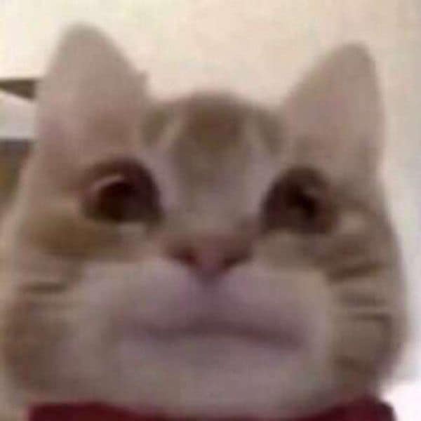 頭份永昌動物醫院