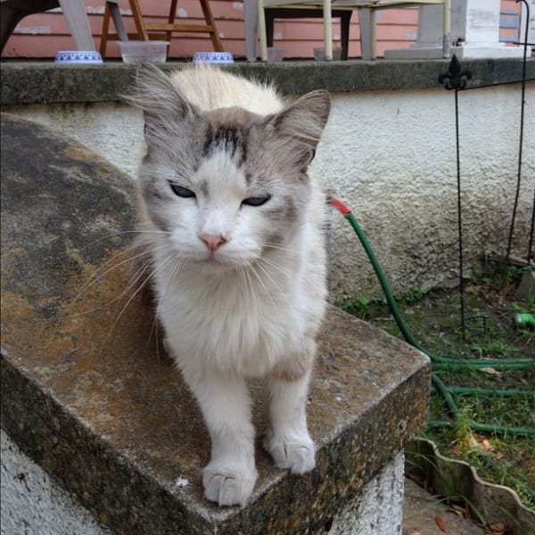 麻吉寵物用品有限公司