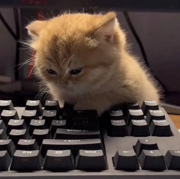 翹屁股寵物生活館