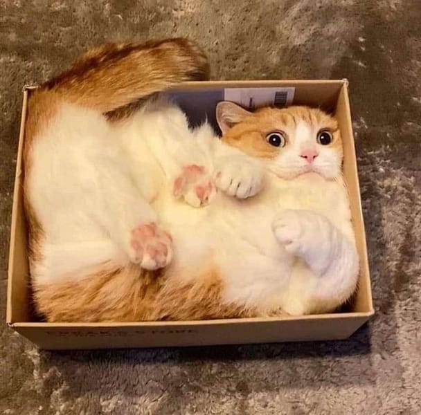多棻工作室