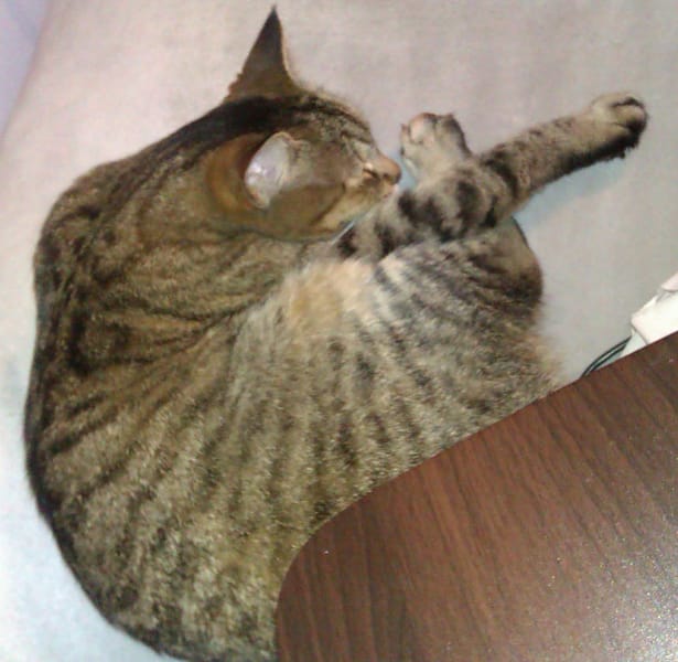 華宏精密工業社