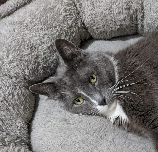 親穎水族設計館