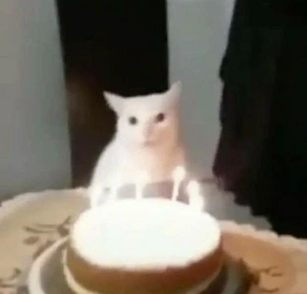 貓咪總動員館豐原館