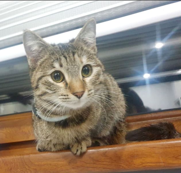 奧斯卡寵物股份有限公司屏東分公司