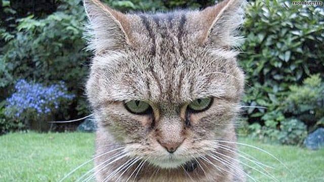 毛棧股份有限公司