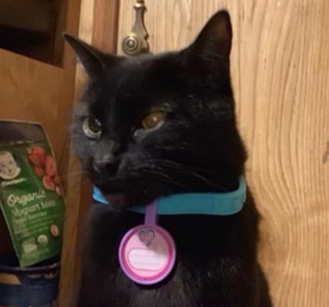 歐歐兔股份有限公司