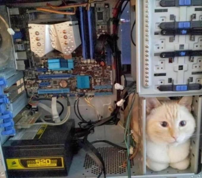 奇巧手寵物用品店