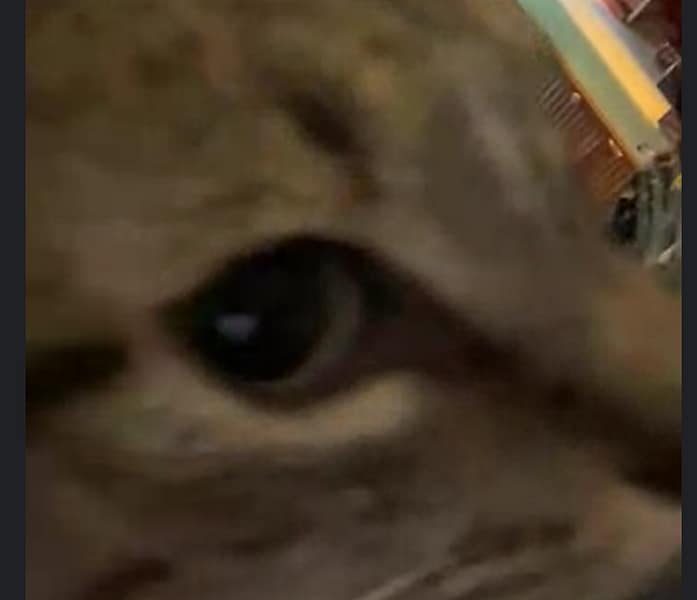 六六毛屋企業社