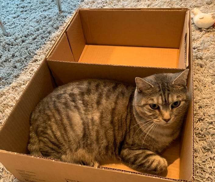 萬達寵物事業股份有限公司和平分公司