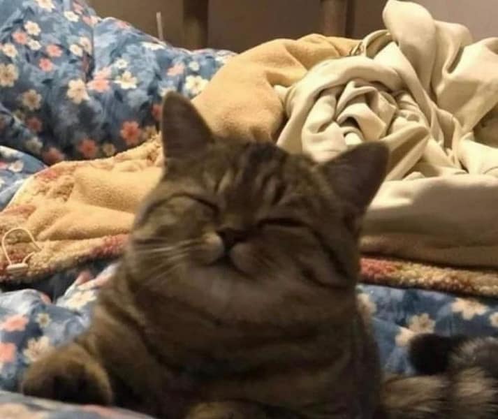 小確幸寵物沙龍